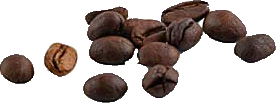Coffee Cutout